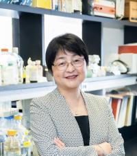 Faculty member in lab
